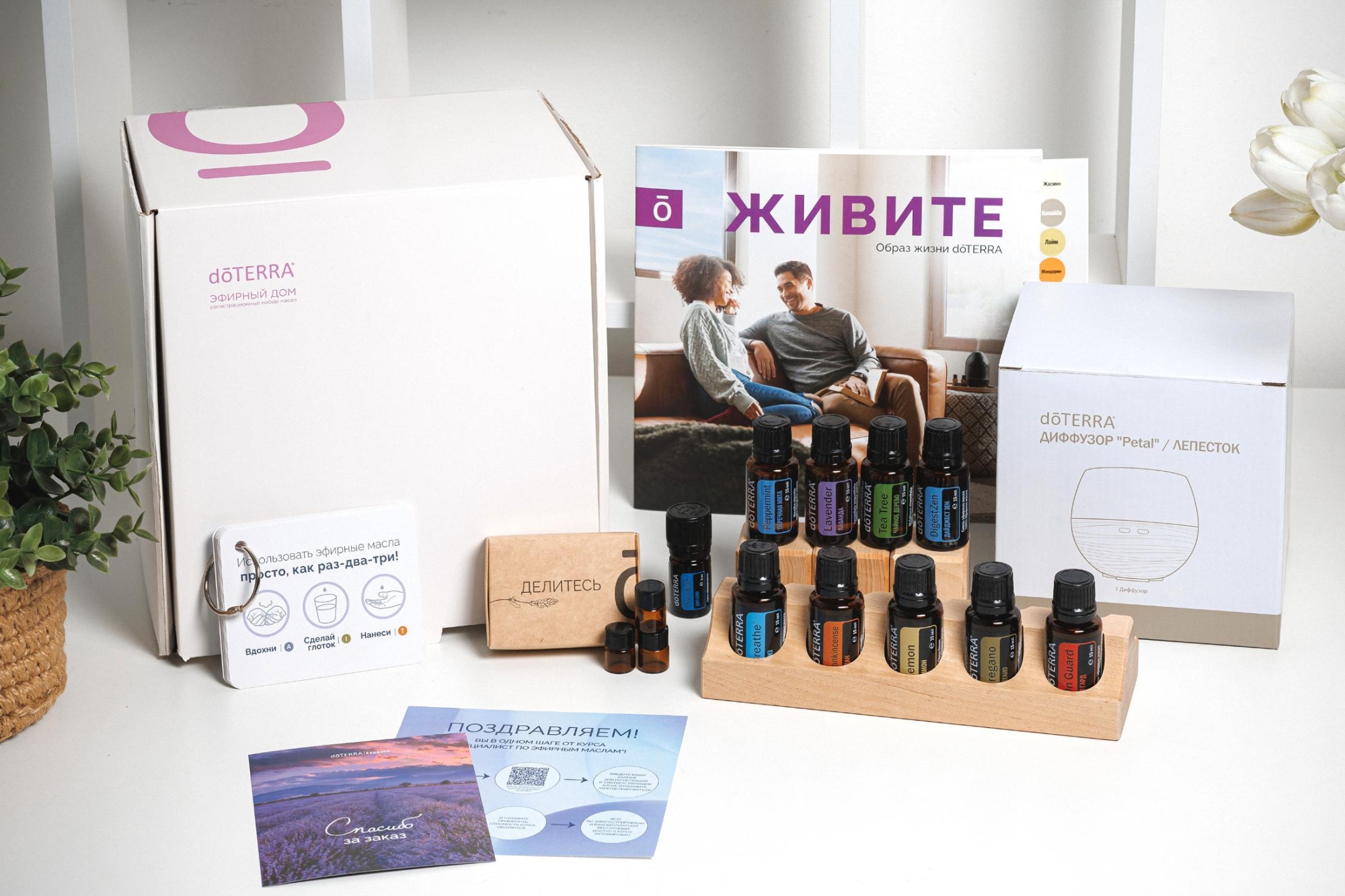 Набор "Эфирный дом" doTERRA + регистрация + подарки + видеокурс - Простая регистрация - Каталог товаров