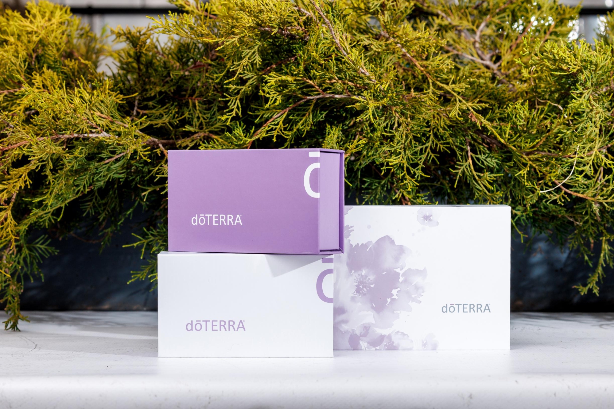 Подарочная коробка doTERRA с держателем на 3 масла в роллерах по 10 мл - Для использования масел - Каталог товаров