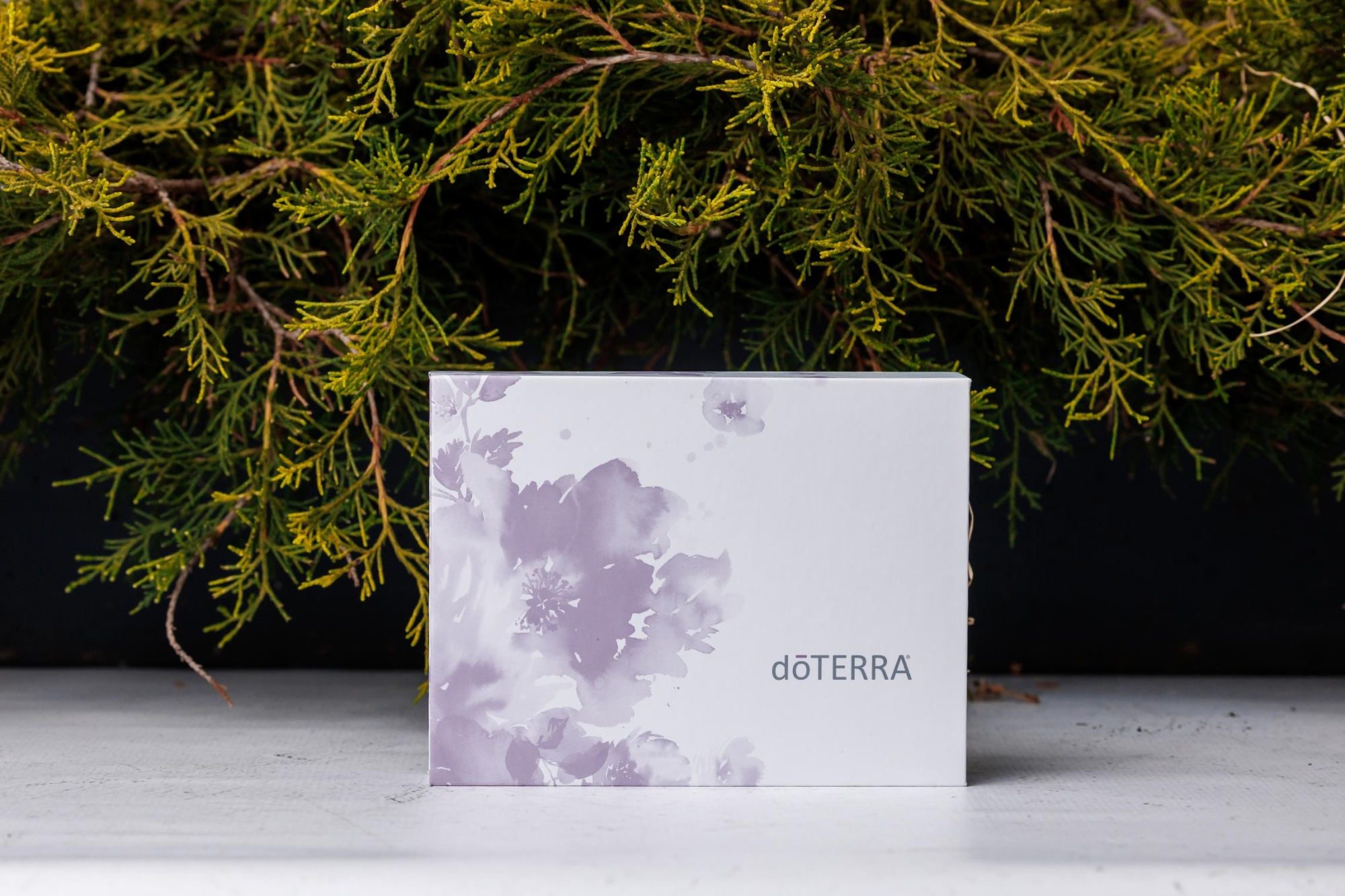 Подарочная коробка doTERRA с держателем на 3 масла в роллерах по 10 мл - Для использования масел - Каталог товаров