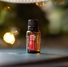 "Холидей Джой" смесь эфирных масел для создания уюта, doTERRA Holiday Joy, 15 мл - Смеси эфирных масел - Каталог товаров