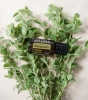 Эфирное масло doTERRA Майоран, Marjoram, 15 мл - Однокомпонентные эфирные масла - Каталог товаров