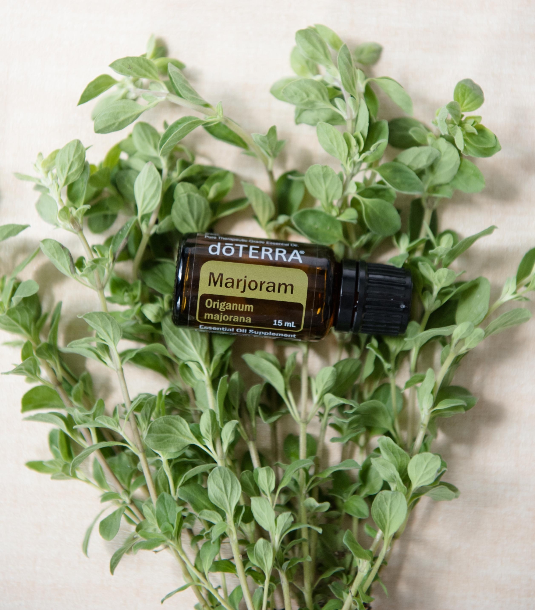 Эфирное масло doTERRA Майоран, Marjoram, 15 мл - Однокомпонентные эфирные масла - Каталог товаров
