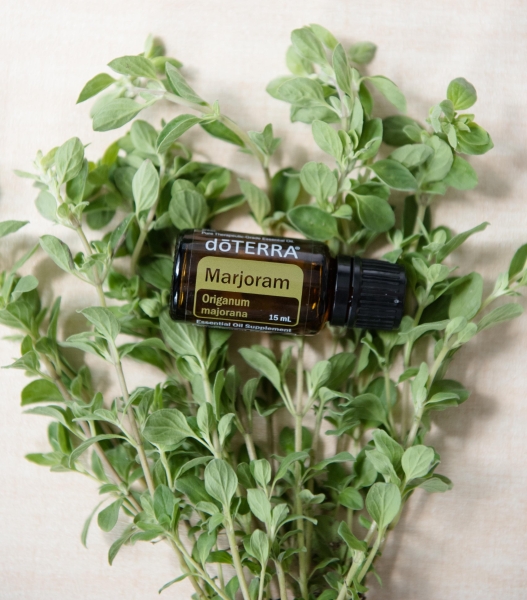 Эфирное масло doTERRA Майоран, Marjoram, 15 мл - Однокомпонентные эфирные масла - Каталог товаров