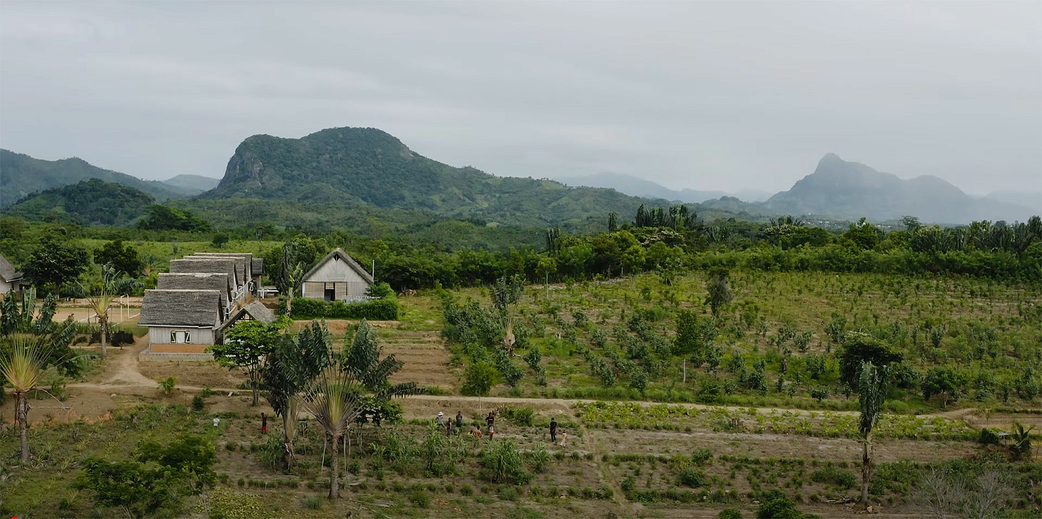 Эфирное масло 'Мадагаскарская ваниль'