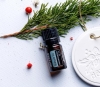 Эфирное масло doTERRA 'Бальзамическая пихта' ('Balsam Fir') - Однокомпонентные эфирные масла - Каталог товаров