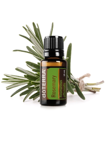 Эфирное масло doTERRA Розмарин, Rosemary, 15 мл - Однокомпонентные эфирные масла - Каталог товаров
