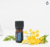 "Дип Блю" успокаивающая смесь эфирных масел для массажа, doTERRA Deep Blue, 5 мл - Смеси эфирных масел - Каталог товаров