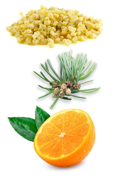 Смесь эфирных масел "Лесная свежесть" doTERRA Forest Breeze, 15 мл - Смеси эфирных масел - Каталог товаров